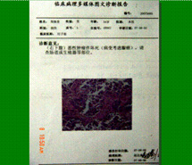 威客电竞(vkgame)-为竞技而生