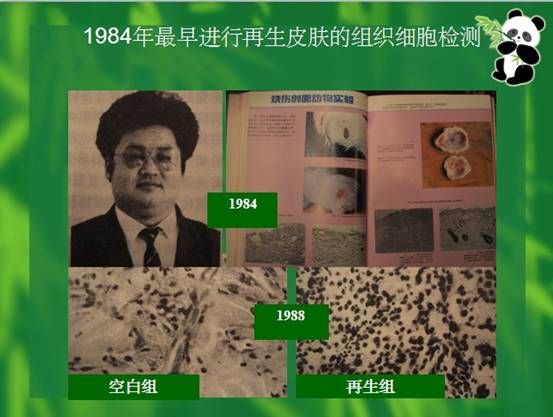 威客电竞(vkgame)-为竞技而生