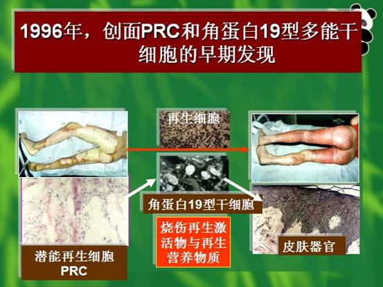 威客电竞(vkgame)-为竞技而生