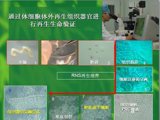 威客电竞(vkgame)-为竞技而生
