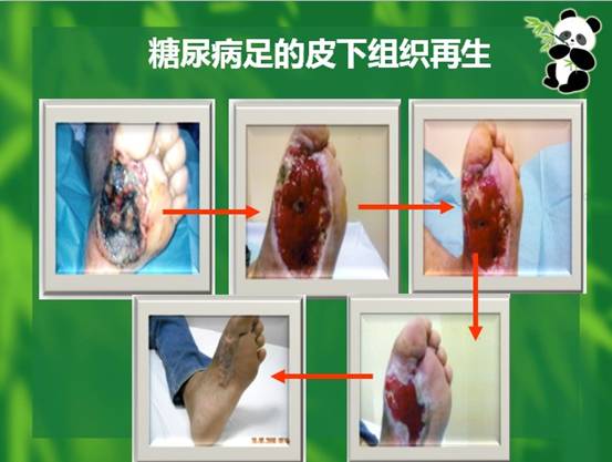 威客电竞(vkgame)-为竞技而生