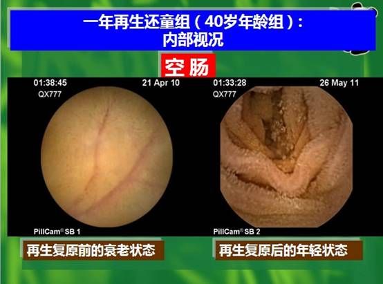 威客电竞(vkgame)-为竞技而生