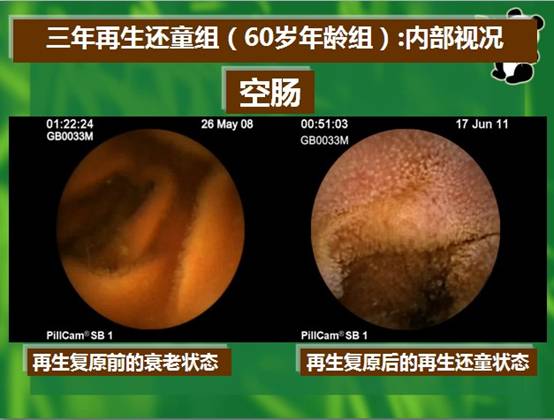 威客电竞(vkgame)-为竞技而生