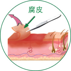 威客电竞(vkgame)-为竞技而生