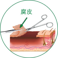 威客电竞(vkgame)-为竞技而生