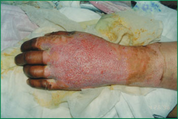 威客电竞(vkgame)-为竞技而生