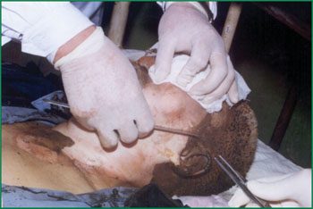 威客电竞(vkgame)-为竞技而生