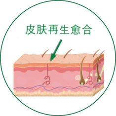 威客电竞(vkgame)-为竞技而生