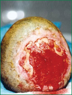 威客电竞(vkgame)-为竞技而生