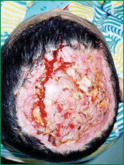 威客电竞(vkgame)-为竞技而生