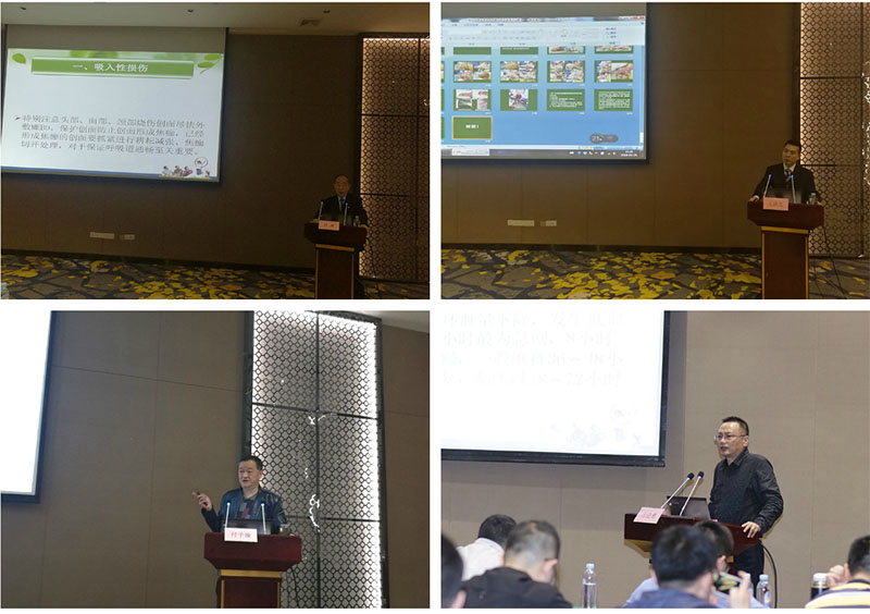 威客电竞(vkgame)-为竞技而生