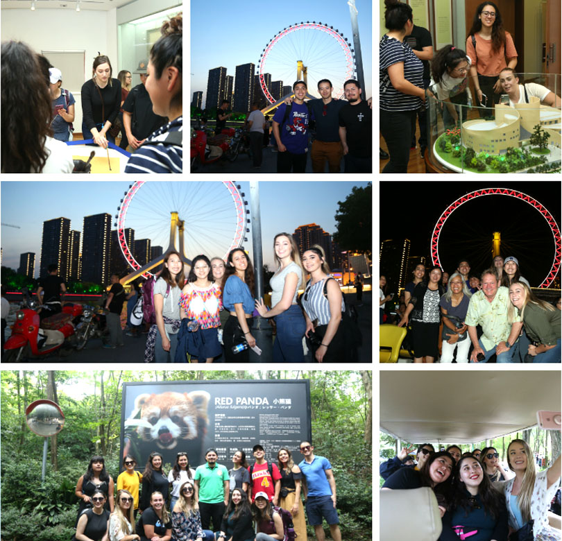 威客电竞(vkgame)-为竞技而生