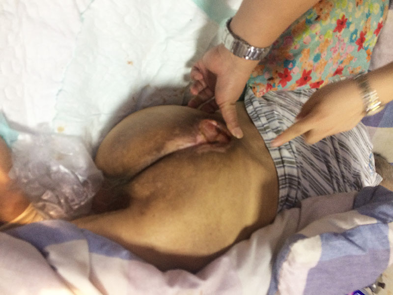 威客电竞(vkgame)-为竞技而生