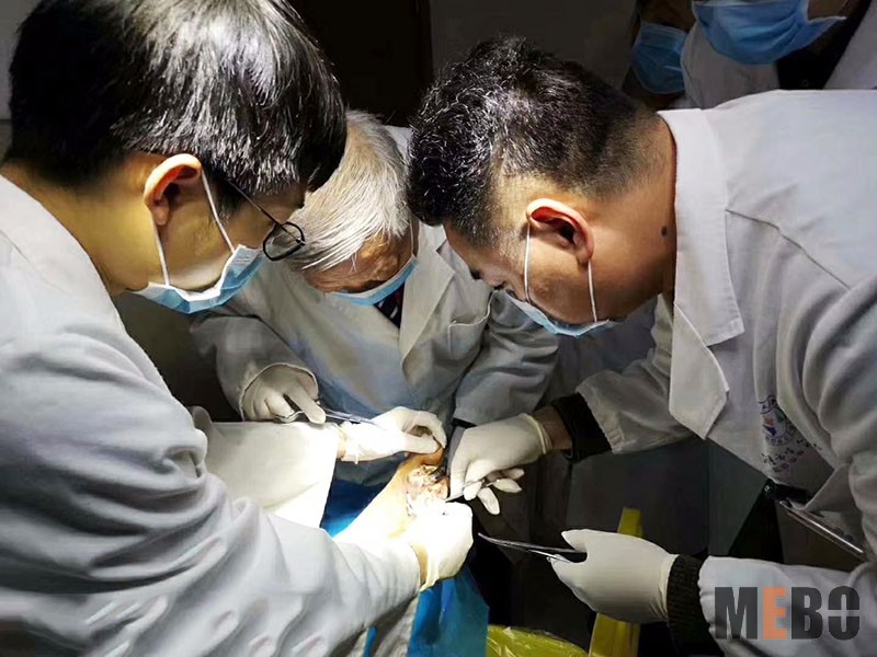 威客电竞(vkgame)-为竞技而生