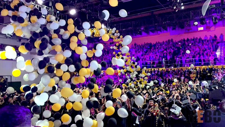 威客电竞(vkgame)-为竞技而生