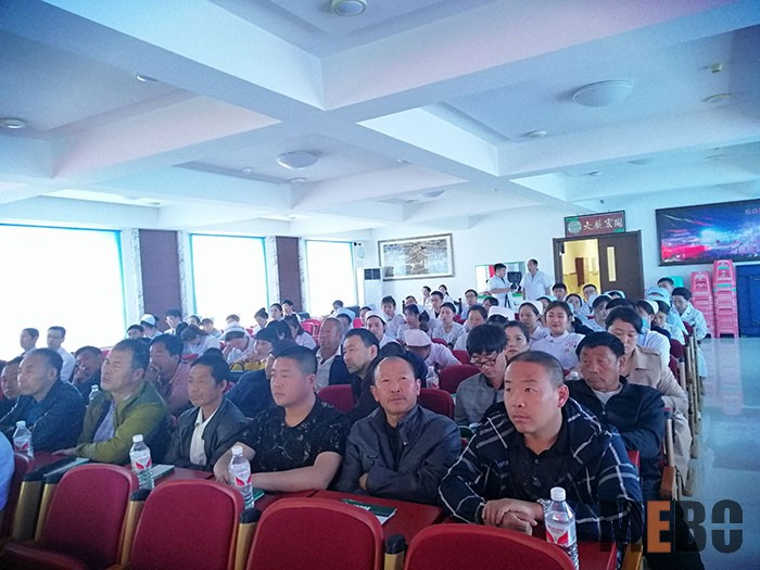 威客电竞(vkgame)-为竞技而生