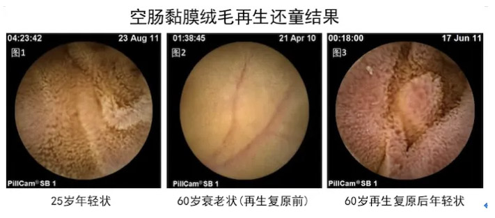 威客电竞(vkgame)-为竞技而生