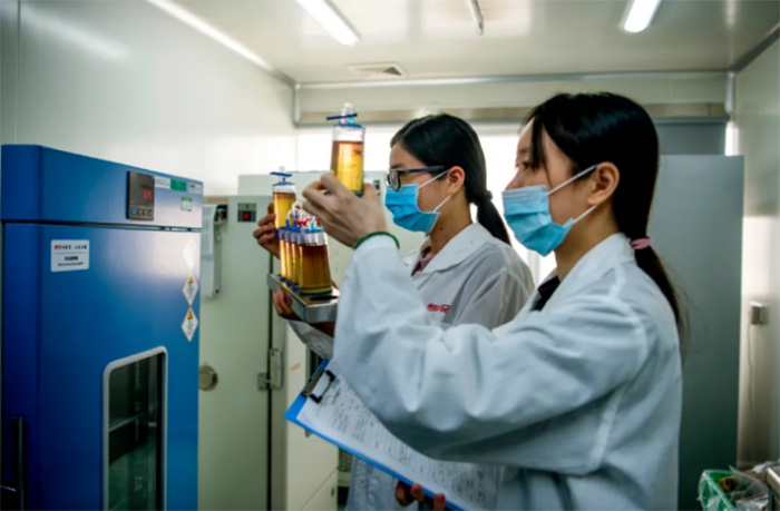 威客电竞(vkgame)-为竞技而生