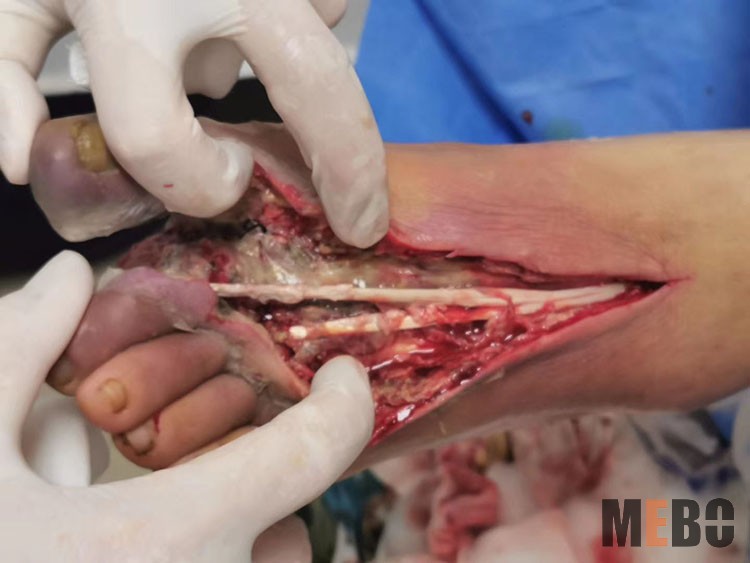 威客电竞(vkgame)-为竞技而生