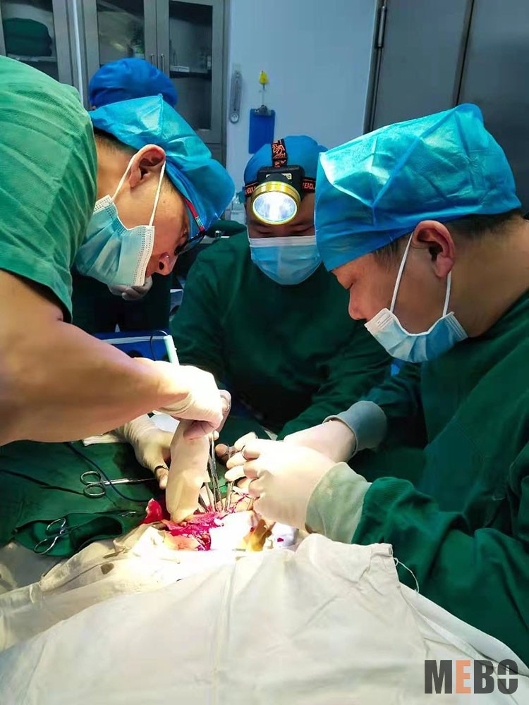 威客电竞(vkgame)-为竞技而生