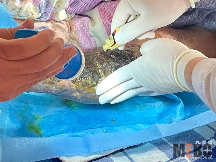 威客电竞(vkgame)-为竞技而生