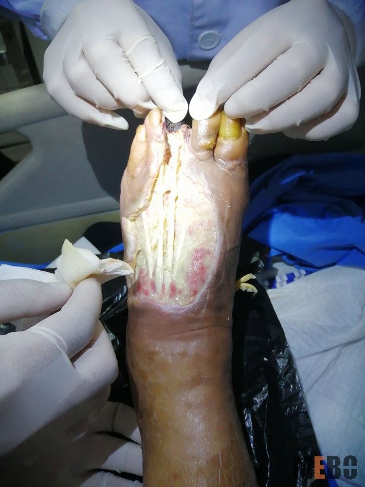 威客电竞(vkgame)-为竞技而生