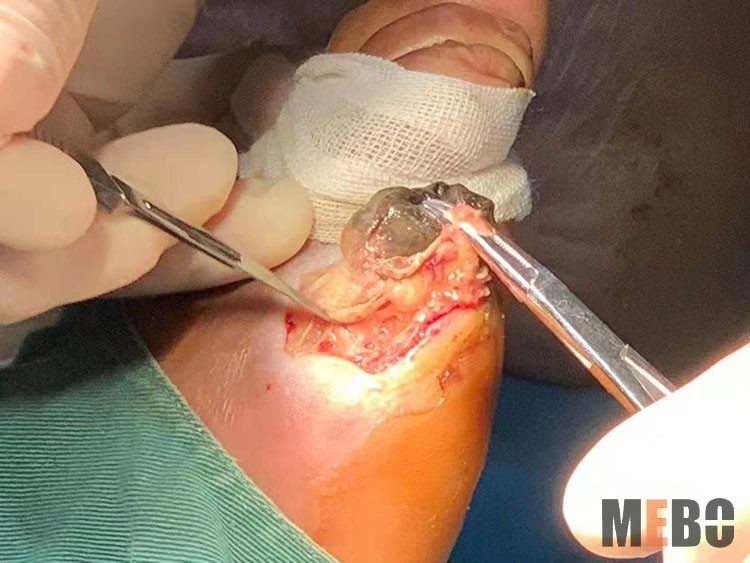 威客电竞(vkgame)-为竞技而生