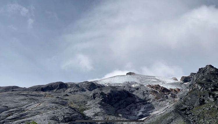 威客电竞(vkgame)-为竞技而生