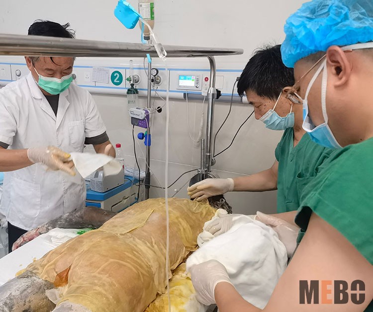 威客电竞(vkgame)-为竞技而生