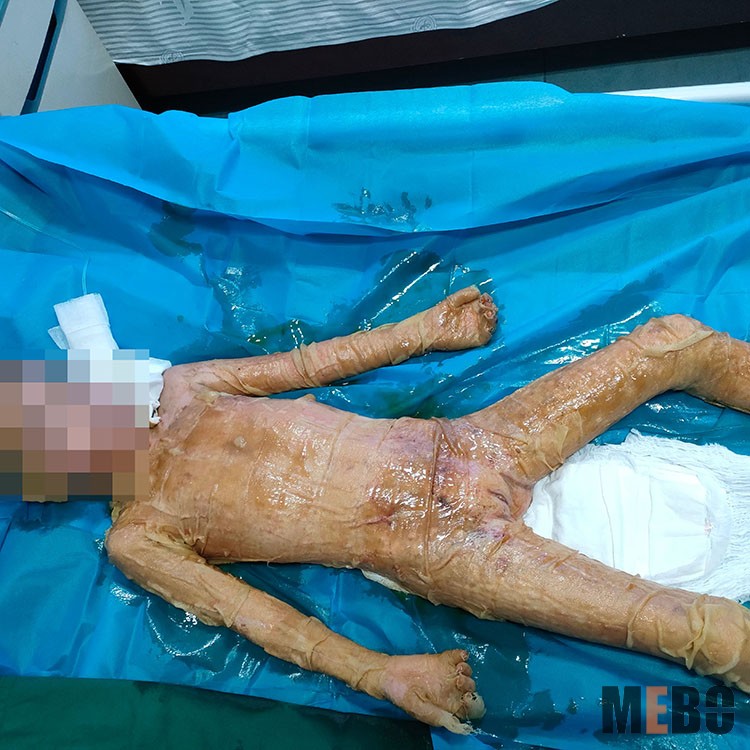 威客电竞(vkgame)-为竞技而生