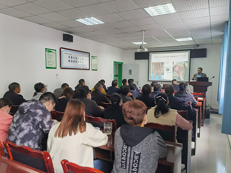 威客电竞(vkgame)-为竞技而生