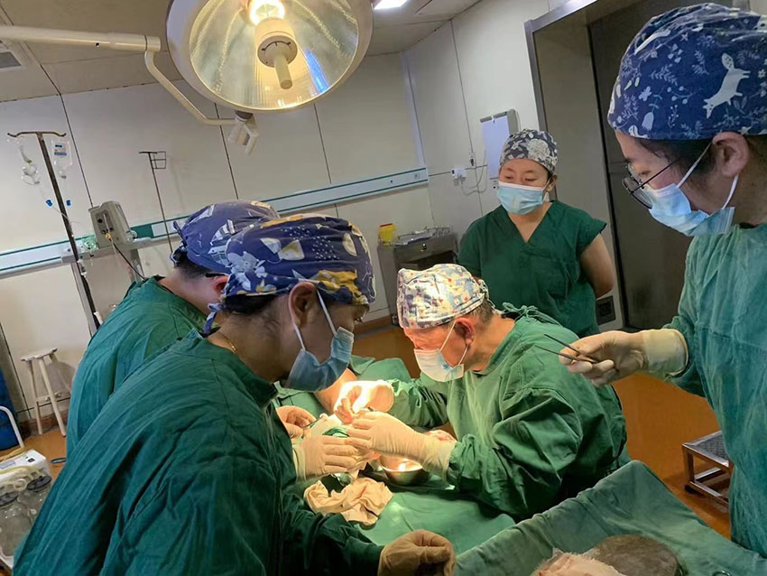 威客电竞(vkgame)-为竞技而生