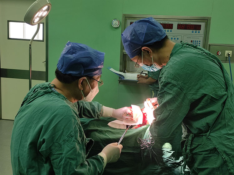 威客电竞(vkgame)-为竞技而生