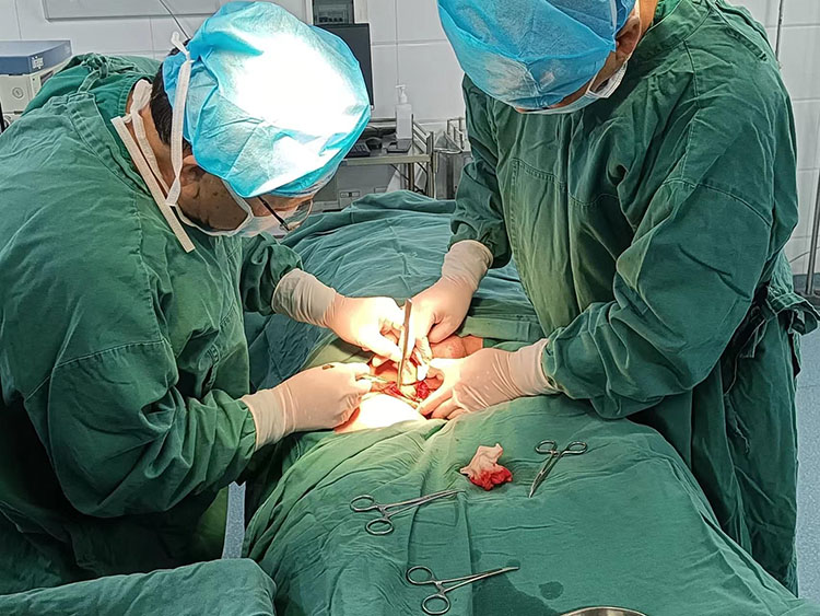 威客电竞(vkgame)-为竞技而生