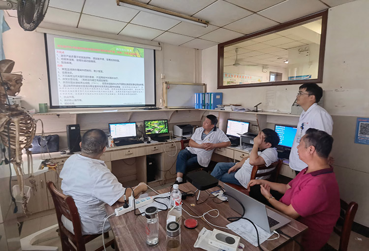 威客电竞(vkgame)-为竞技而生