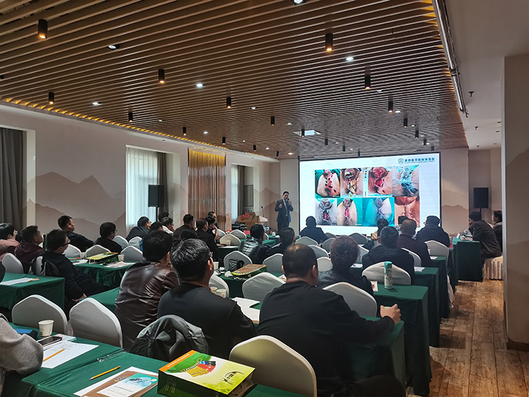 威客电竞(vkgame)-为竞技而生