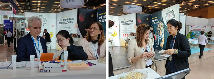 威客电竞(vkgame)-为竞技而生