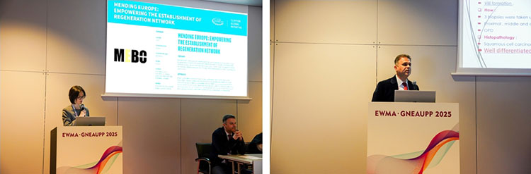 威客电竞(vkgame)-为竞技而生