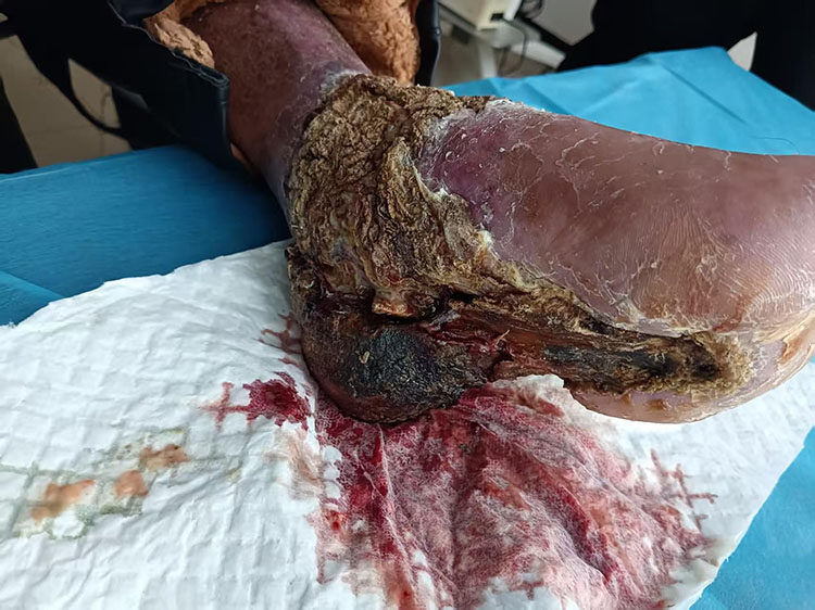 威客电竞(vkgame)-为竞技而生