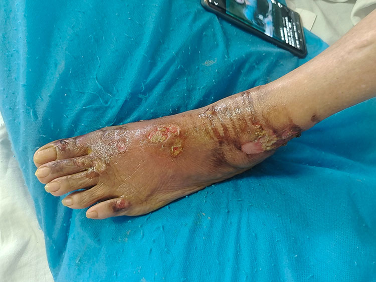 威客电竞(vkgame)-为竞技而生