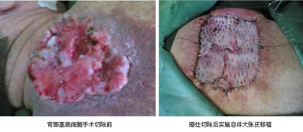 威客电竞(vkgame)-为竞技而生