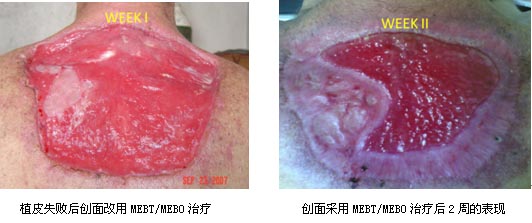 威客电竞(vkgame)-为竞技而生