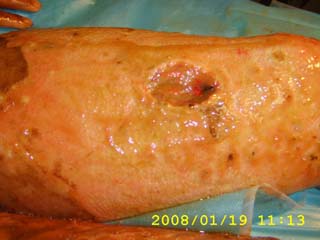 威客电竞(vkgame)-为竞技而生