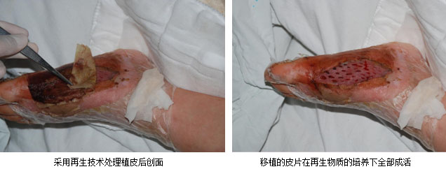 威客电竞(vkgame)-为竞技而生