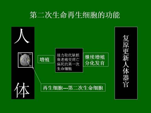 威客电竞(vkgame)-为竞技而生