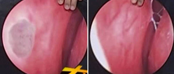 威客电竞(vkgame)-为竞技而生