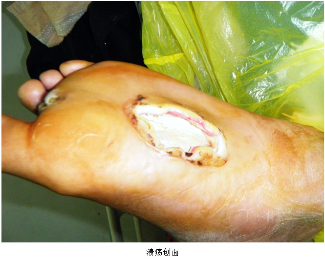 威客电竞(vkgame)-为竞技而生