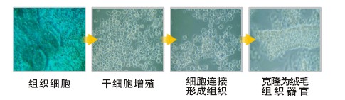 威客电竞(vkgame)-为竞技而生