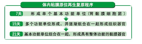 威客电竞(vkgame)-为竞技而生