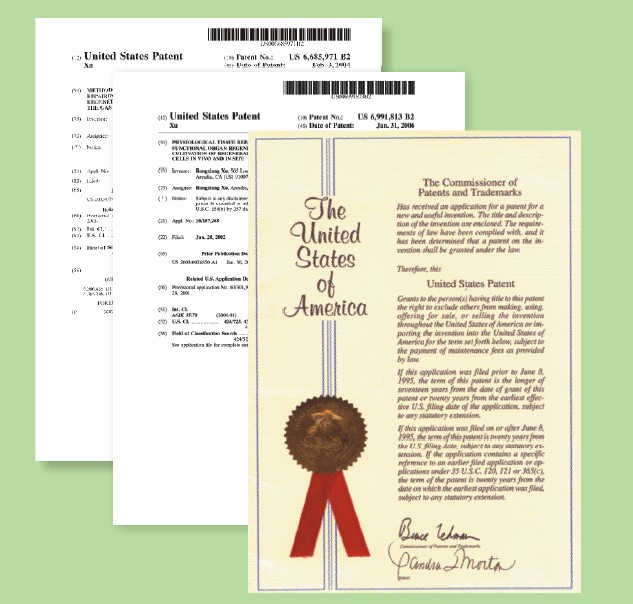 威客电竞(vkgame)-为竞技而生